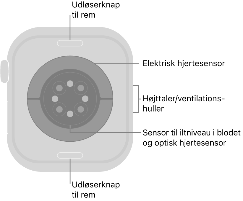 Bagsiden af Apple Watch Series 10 med udløserknapperne til remmen foroven og forneden, de elektriske pulsmålere, de optiske pulsmålere og sensorerne til iltniveau i blodet i midten og højttaleren/ventilationshullerne på siden.