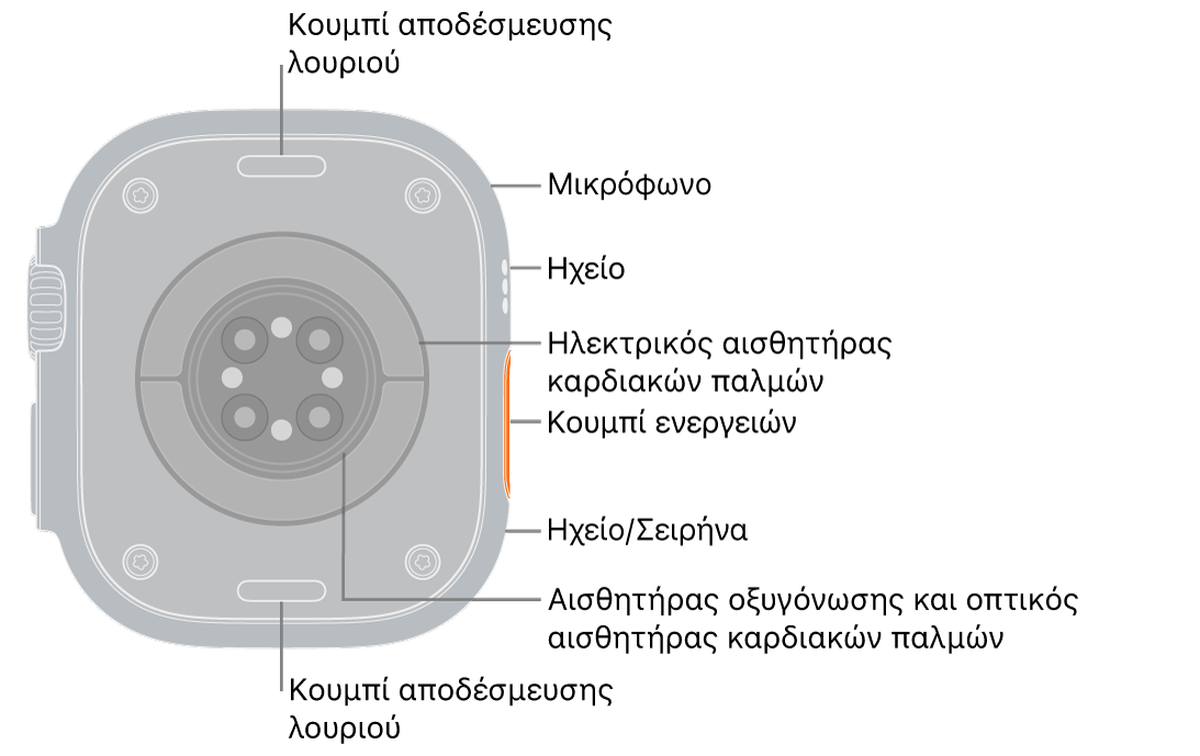 Το πίσω μέρος του Apple Watch Ultra 3, με τα κουμπιά αφαίρεσης του λουριού στο πάνω και κάτω μέρος. Στο πλάι, βρίσκονται ένα μικρόφωνο, ένα ηχείο, ο ηλεκτρικός αισθητήρας καρδιάς, το κουμπί Ενέργειας, μια θύρα ηχείου από την οποία εκπέμπει η σειρήνα, αισθητήρες οξυγόνωσης και οπτικοί αισθητήρες καρδιάς.