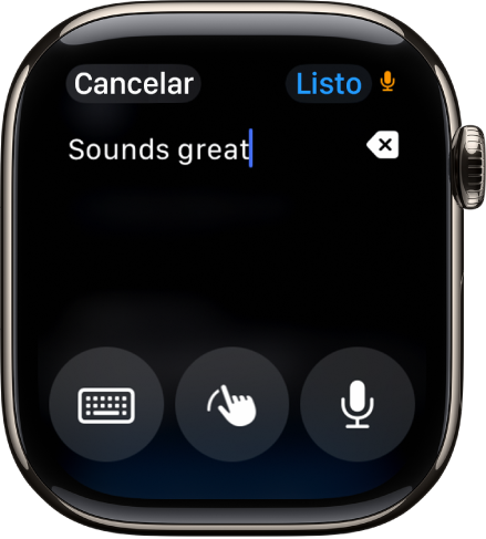 La pantalla del campo de texto muestra un mensaje en la parte superior de la pantalla. Los botones Teclado en pantalla, Escribir y Dictado se encuentran en la parte inferior de la pantalla.