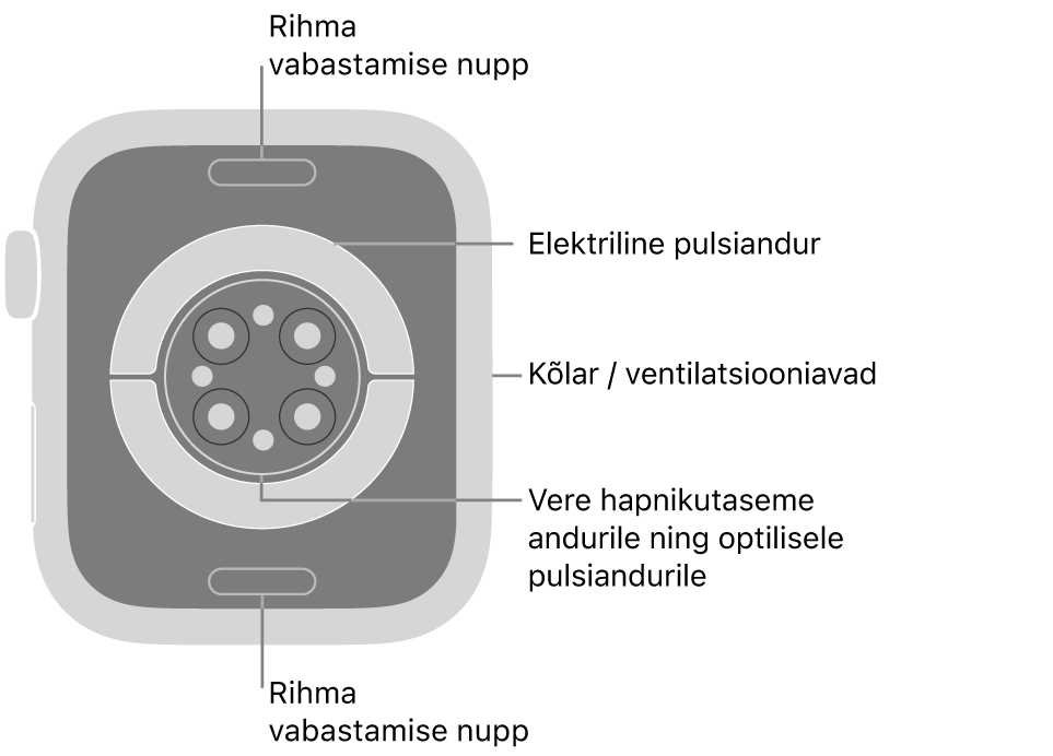 Apple Watch Series 9 tagakülg, kus üleval ja all on rihma vabastusnupud, elektrilised südamepulsiandurid, optilised südamepulsiandurid ja keskel vere hapnikusisalduse andur ning kõlar/ventilatsiooniavad küljel.