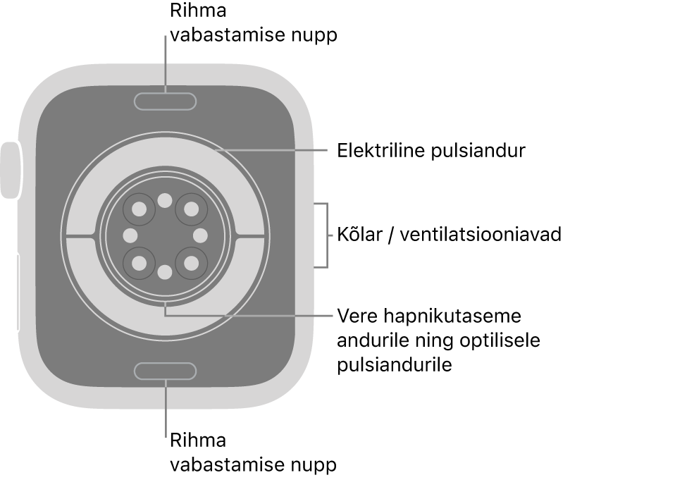 Apple Watch Series 11 tagakülg, kus üleval ja all on rihma vabastusnupud, elektrilised südamepulsiandurid, optilised südamepulsiandurid ja keskel vere hapnikusisalduse andur ning kõlar/ventilatsiooniavad küljel.