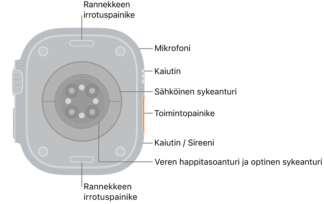 Apple Watch Ultra 3:n takaosa, jossa on rannekkeen irrotuspainikkeet ylhäällä ja alhaalla. Sivulla ovat mikrofoni, kaiutin, sähköinen sykeanturi, Toiminto-painike, kaiutinportti, josta sireenin ääni kuuluu, veren happitason anturit ja optiset sykeanturit.