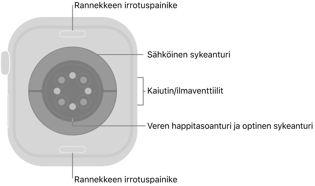 Apple Watch Series 10:n takaosa, jossa on rannekkeen irrotuspainikkeet ylhäällä ja alhaalla, sähköiset sykeanturit, optiset sykeanturit ja veren happitason anturit keskellä sekä kaiutin/ilmastointiaukot sivulla.