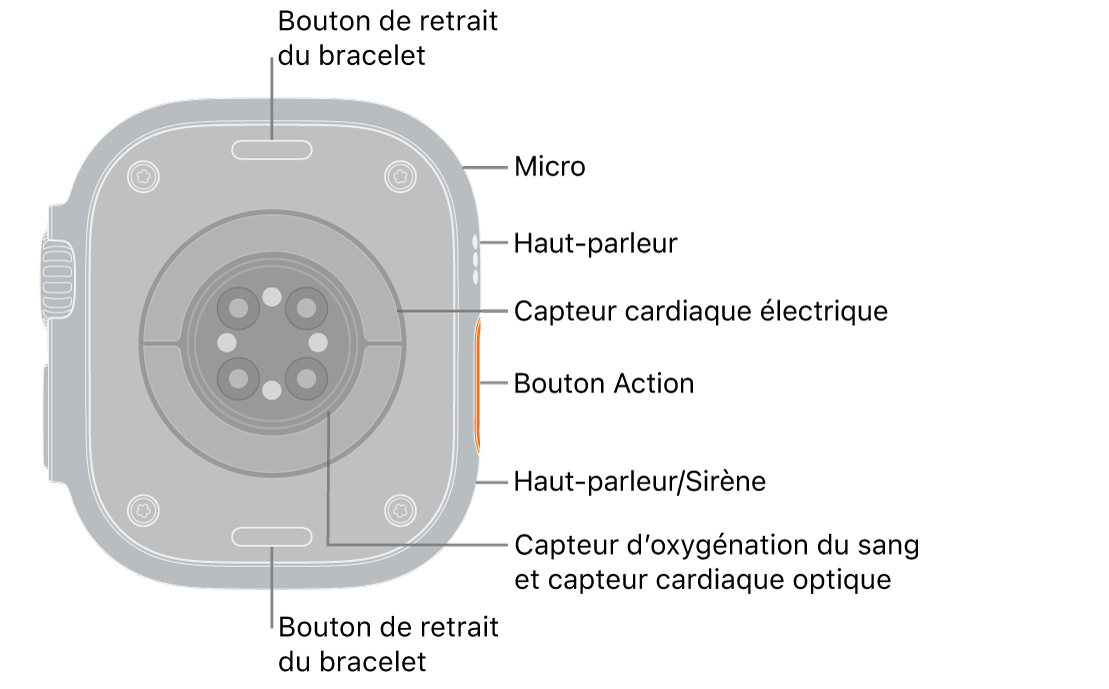 L’arrière de l’Apple Watch Ultra 3, avec les boutons de retrait du bracelet en haut et en bas. Sur le côté se trouvent un micro, un haut-parleur, le capteur électrique de fréquence cardiaque, le bouton Action, un port de haut-parleur qui émet la sirène, les capteurs d’oxygène sanguin et les capteurs optiques de fréquence cardiaque.