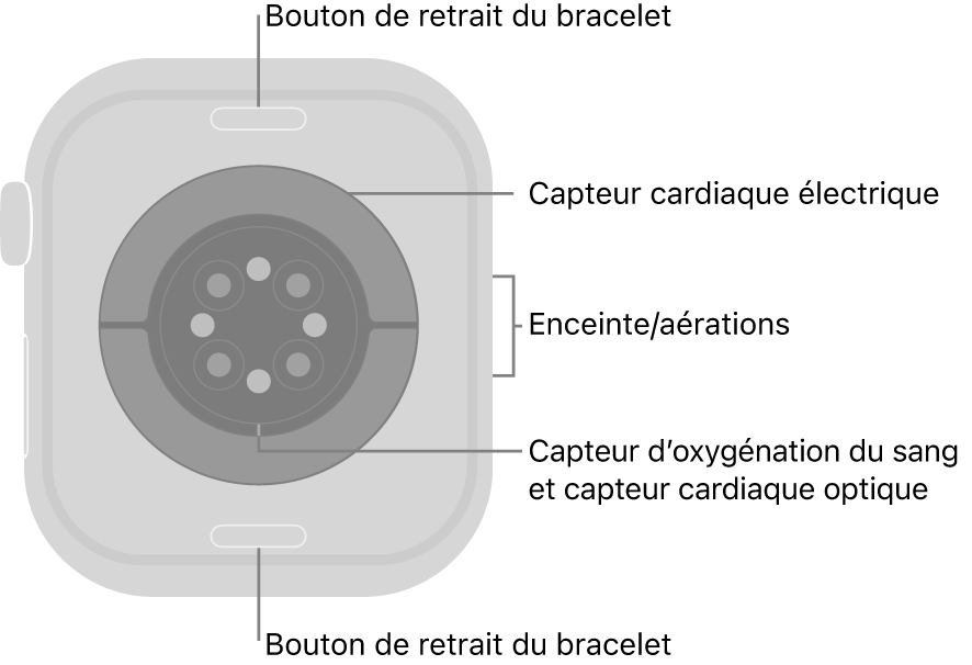 L’arrière de l’Apple Watch Series 10, avec les boutons de retrait du bracelet en haut et en bas, les capteurs électriques de fréquence cardiaque, les capteurs optiques de fréquence cardiaque et les capteurs d’oxygénation du sang au milieu, ainsi que le haut-parleur et les aérations sur le côté.
