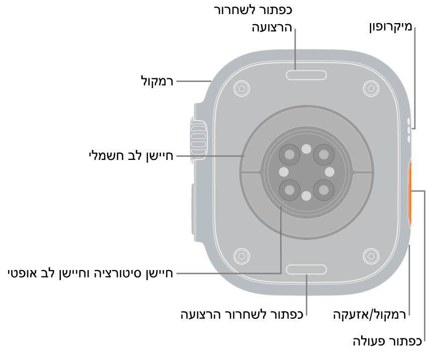 תצוגה אחורית של ה‑3 Apple Watch Ultra, עם כפתורי שחרור הרצועה למעלה ולמטה. בצד השעון נמצאים מיקרופון, רמקול, חיישן הדופק האלקטרוני, הכפתור ״פעולה״, יציאת רמקול שמשמיע את האזעקה, חיישני רמת החמצן בדם וחיישני דופק אופטיים.