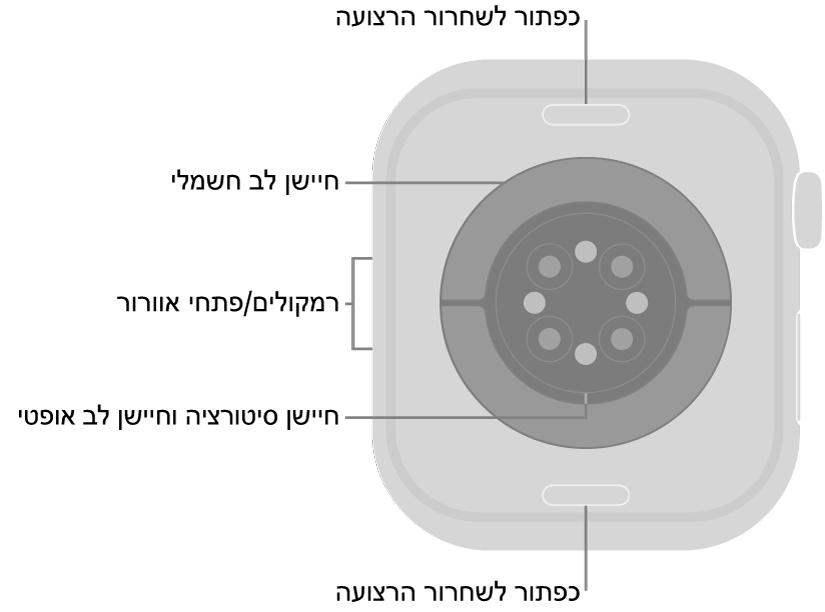 תצוגה אחורית של ה‑Apple Watch Series 10 עם כפתורי שחרור הרצועה למעלה ולמטה, עם חיישני הדופק האלקטרוניים, חיישני הדופק האופטיים וחיישני רמת החמצן בדם בחלק המרכזי, ועם הרמקול/פתחי האוורור בצד.