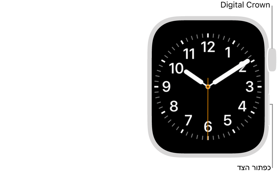 מוצגת החזית של ה-Apple Watch. ה-Digital Crown מוצג למעלה משמאל לשעון וכפתור הצד מוצג למטה משמאל.