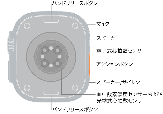 Apple Watch Ultra 3の背面。上下にバンドリリースボタンがあります。側面には、マイク、スピーカー、電気式心拍数センサー、アクションボタン、サイレンが鳴るスピーカーポート、血中酸素ウェルネスセンサー、光学式心拍数センサーがあります。