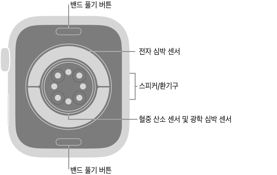 상단 및 하단에 밴드 풀기 버튼, 중앙에 전자 심장 센서, 광학 심장 센서 및 혈중 산소 센서, 측면에 스피커/환기구가 보이는 Apple Watch Series 11의 후면.