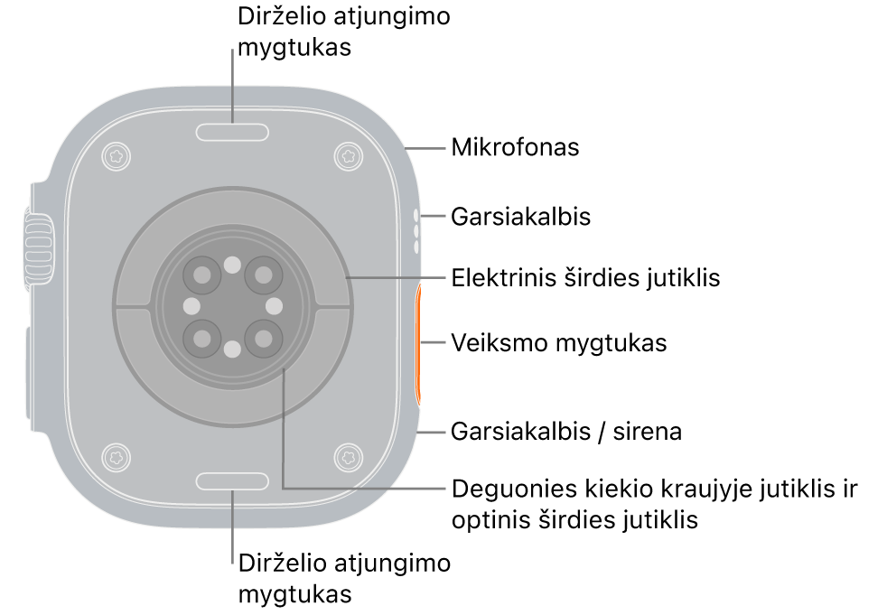„Apple Watch Ultra 3“ galas, dirželio atjungimo mygtukai viršuje ir apačioje. Šone yra mikrofono, garsiakalbio, elektrinio širdies jutiklio, veiksmo mygtuko, garsiakalbio prievado, iš kurio skleidžiamas sirenos garsas, deguonies kiekio kraujyje jutiklių ir optinių širdies jutiklių šaukiniai.