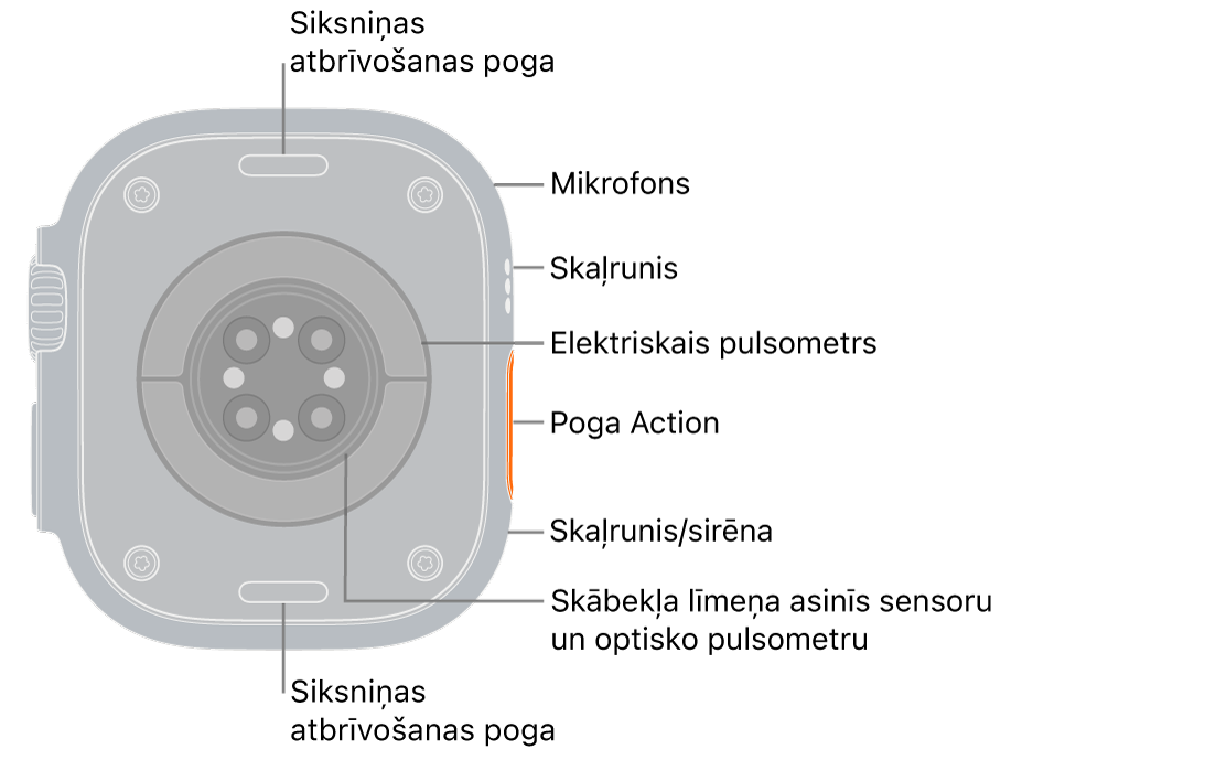 Apple Watch Ultra 3 pulksteņa aizmugure ar siksniņas atbrīvošanas pogām augšā un apakšā. Sānos ir mikrofons, skaļrunis, elektriskais sirds sensors, poga Action, skaļruņa ports, no kura tiek atskaņota sirēna, skābekļa līmeņa asinīs sensori un optiskie sirds sensori.