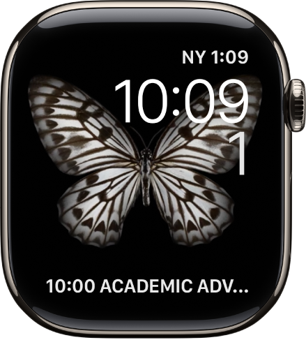 Mostrador Movimento exibindo uma água-viva. Você pode escolher qual objeto está em movimento e adicionar várias complicações. A complicação Timer está na parte superior direita, com a hora e a data abaixo, e a complicação Cronômetro na parte inferior.