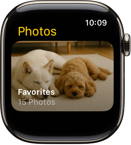 Aplicația Poze pe Apple Watch afișând un album denumit Favorite.