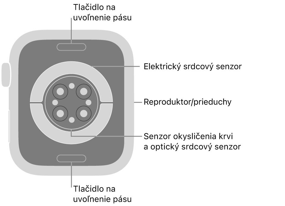 Zadná strana hodiniek Apple Watch Series 9. Navrchu a naspodku sa nachádzajú tlačidlá na uvoľnenie remienka. V strede sú umiestnené elektrické srdcové senzory, optické srdcové senzory a senzory saturácie kyslíkom a naboku reproduktor/prieduchy.