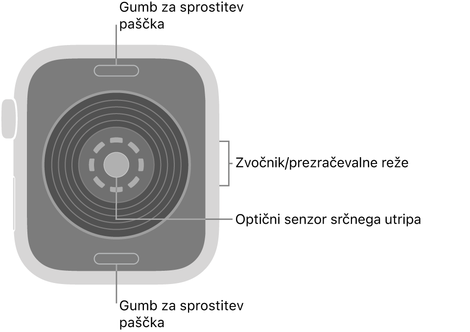 Zadnji del ure Apple Watch SE 3 z gumboma za sprostitev paščka zgoraj in spodaj, optičnim senzorjem srčnega utripa v sredini in zvočnikom/zračniki na strani.