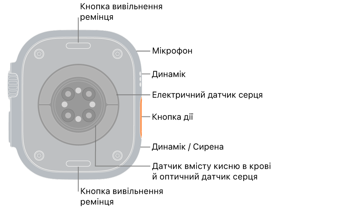 Задня панель Apple Watch Ultra 3 з кнопками вивільнення ремінця вгорі й унизу. Збоку показано мікрофон, динамік, електричний датчик серцевого ритму, кнопку дії, порт динаміка, з якого подається сирена, датчики рівня кисню в крові й оптичні датчики серцевого ритму.
