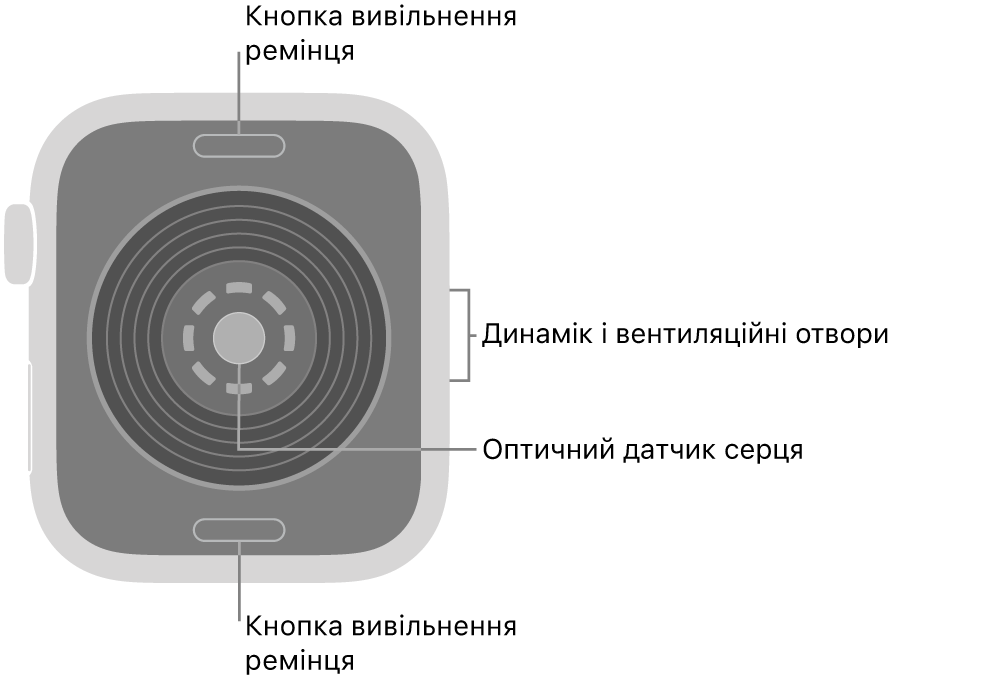 Задня панель Apple Watch SE 3 із кнопками вивільнення ремінця вгорі та внизу, оптичним датчиком серця посередині, а також динаміком / вентиляційними отворами збоку.