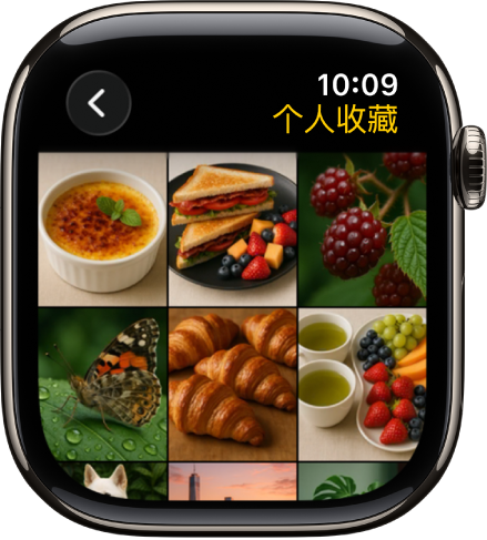 Apple Watch 上的“照片” App 显示名为“个人收藏”的相簿，多张照片以网格显示。