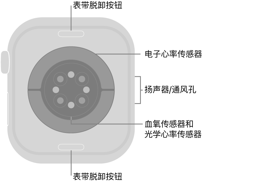 Apple Watch Series 10 的背面，顶部和底部是表带脱卸按钮，中间是电子心率传感器、光学心率传感器和血氧传感器，侧边是扬声器/通风孔。