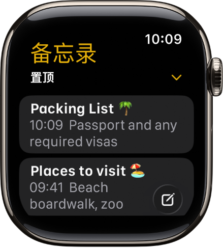 顶部显示置顶备忘录的备忘录列表。