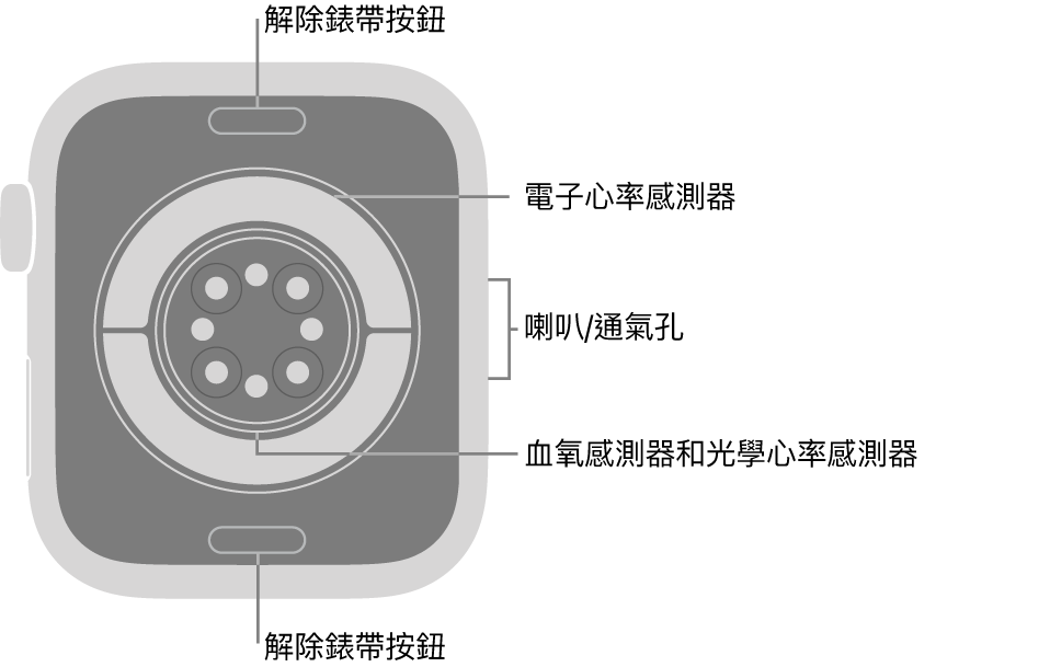 Apple Watch Series 11 的背面，在頂部和底部的解除錶帶按鈕，中間的電子心率感測器、光學心率感測器和血氧感測器，以及側邊的喇叭/通氣孔。