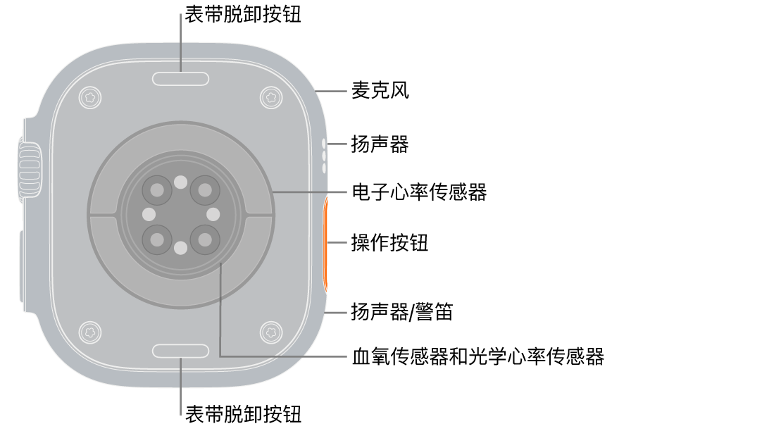 Apple Watch Ultra 3 表背，顶部和底部是表带脱卸按钮。侧边是麦克风、扬声器、电子心率传感器、操作按钮、警笛发声位置的扬声器端口、血氧传感器和光学心率传感器。