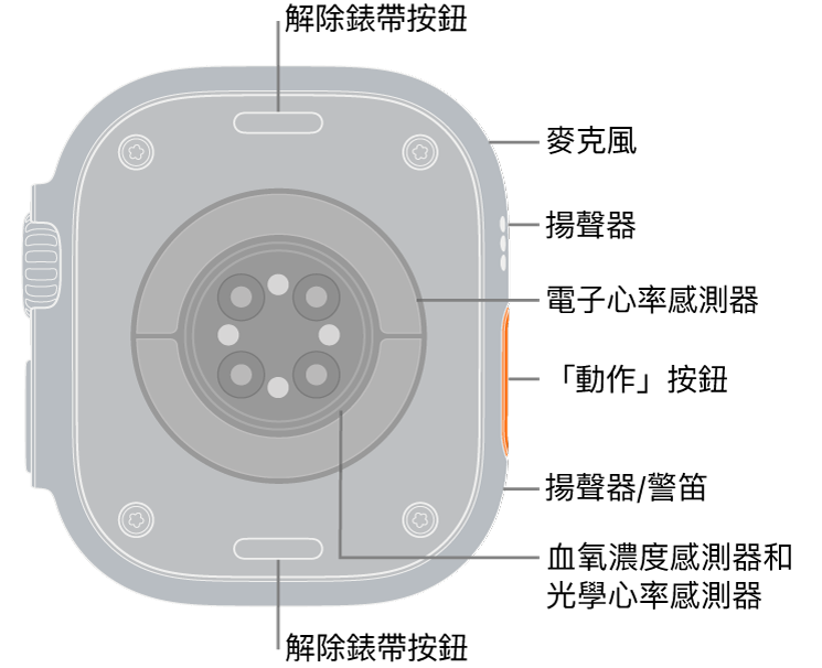 Apple Watch Ultra 3 背面，頂端和底部為解除錶帶按鈕。側邊是麥克風、揚聲器、電子心率感測器、「動作」按鈕、警笛發出的揚聲器連接埠、血氧濃度感測器漢光學心率感測器。