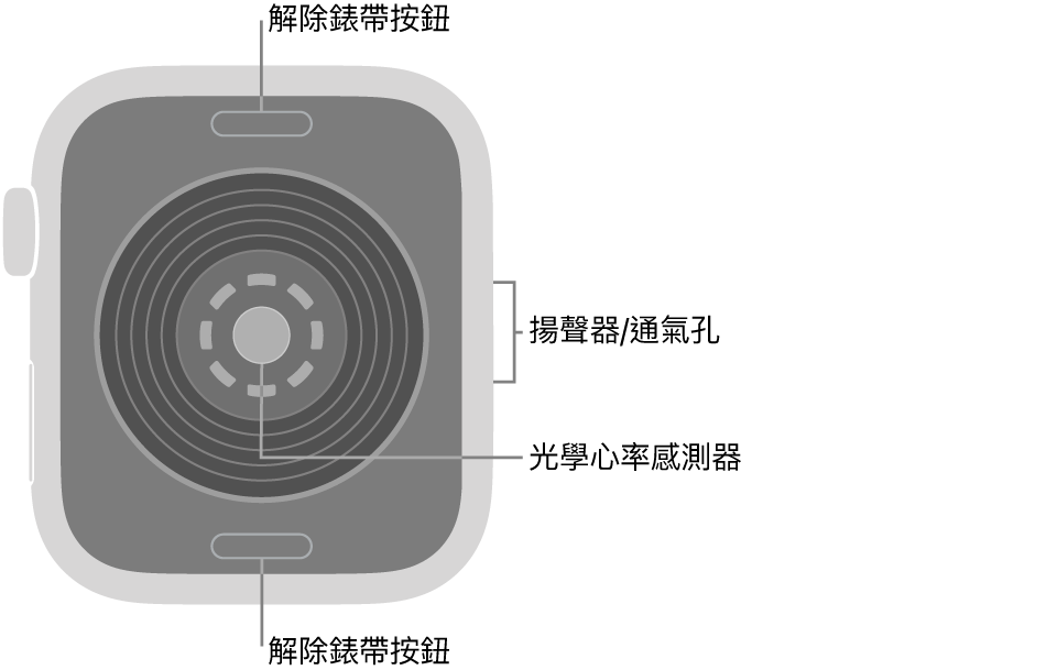 Apple Watch SE 3 的背面，頂端和底部為解除錶帶按鈕，中央為光學心率感測器，而側邊為揚聲器/通氣孔。