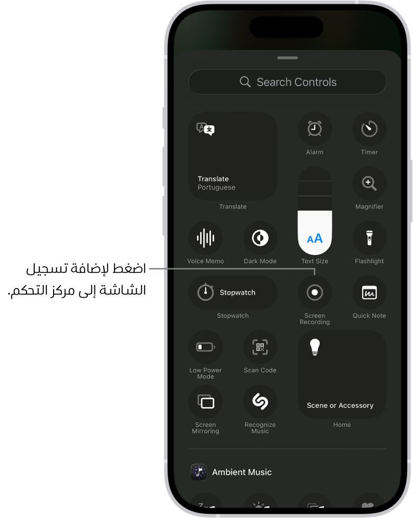 شاشة يظهر بها عناصر التحكم التي يمكنك إضافتها إلى مركز التحكم. مركز تسجيل الشاشة يظهر بالقرب من المنتصف.