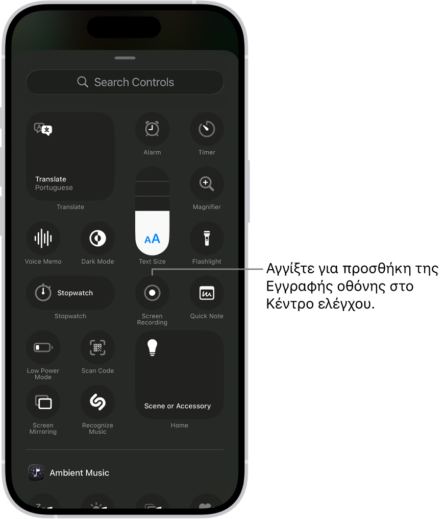 Μια οθόνη στην οποία εμφανίζονται στοιχεία ελέγχου που μπορείτε να προσθέσετε στο Κέντρο ελέγχου. Το στοιχείο ελέγχου «Εγγραφή οθόνης» βρίσκεται κοντά στο κέντρο.