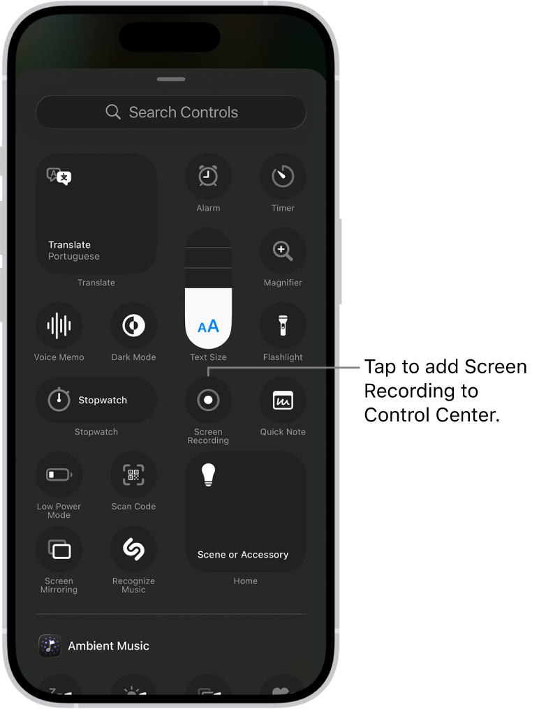 A screen showing controls you can add to Control Center. The Screen Recording control is near the center.