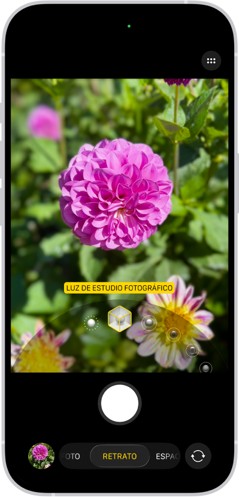La pantalla de la app Cámara el modo Retrato; en el visor, el objeto se muestra nítido y el fondo difuminado. El dial para seleccionar la iluminación de retrato está abierto debajo del visor, y el efecto Luz de estudio fotográfico está seleccionado.