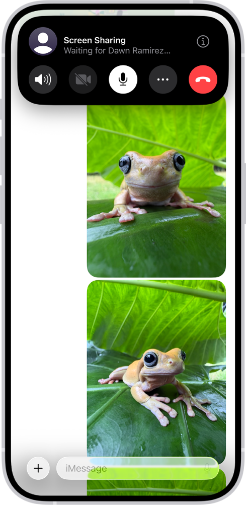 મેસેજમાં સ્ક્રીન શેર કરવા માટેની પેંડિંગ વિનંતી.