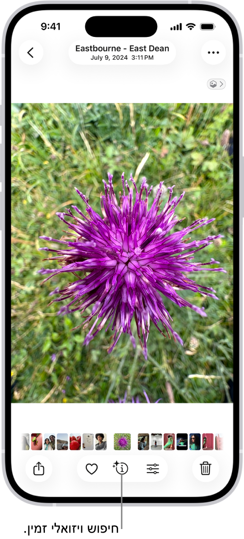 תמונה פתוחה בספריה של היישום ״תמונות״. בתחתית המסך מציג הכפתור ״פרטים״ אייקון שמסמן כי יש מידע של ״חיפוש ויזואלי נרחב״.
