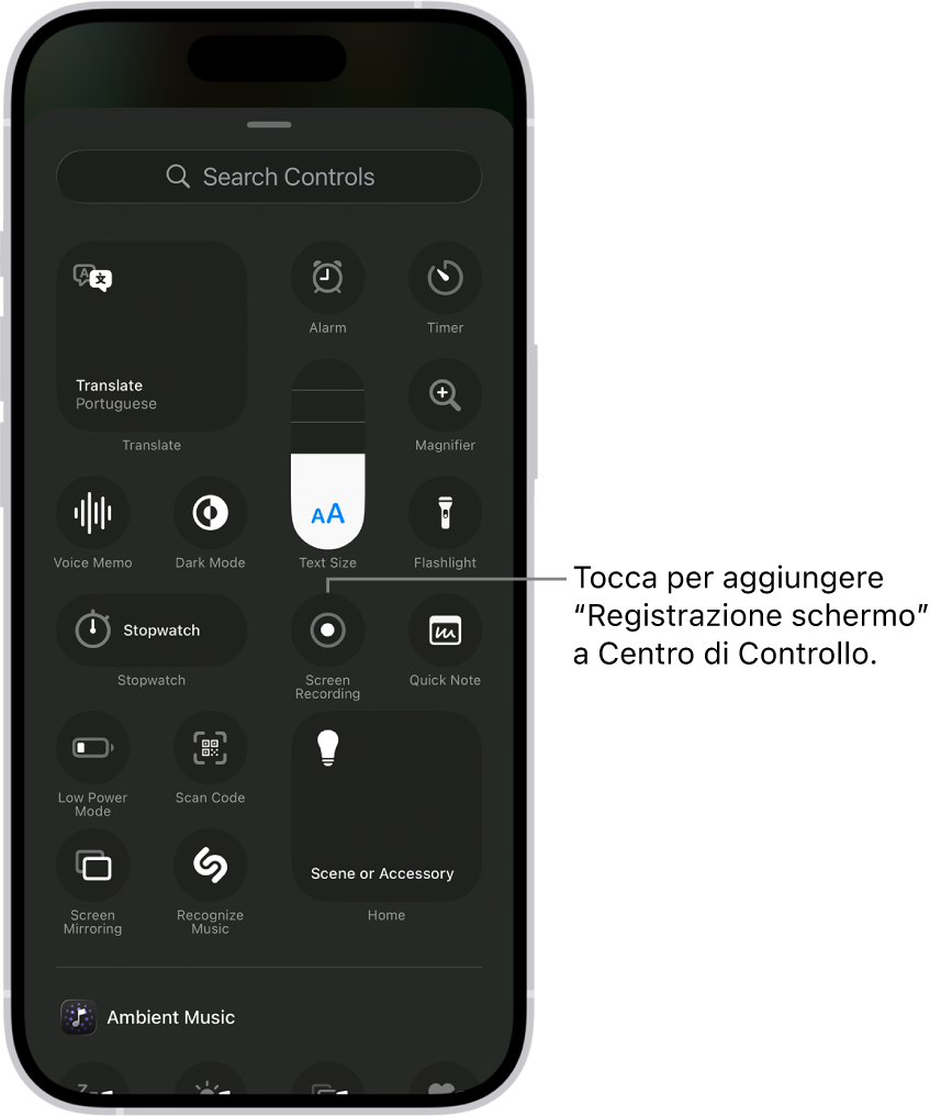 Una schermata che mostra i controlli che è possibile aggiungere a Centro di Controllo. Il controllo per la registrazione dello schermo è vicino al centro.
