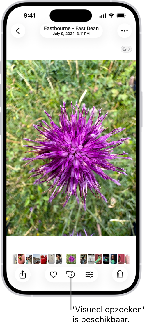 Een foto is open in de Foto's-app. Onder in het scherm heeft de infoknop een symbool dat aangeeft dat 'Visueel opzoeken' beschikbaar is.