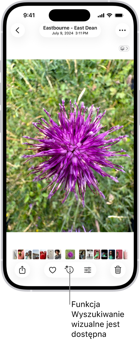 Zdjęcie w aplikacji Zdjęcia. Na dole ekranu widoczny jest przycisk Informacje z oznaczeniem, że dostępne są informacje funkcji wyszukiwania wizualnego.