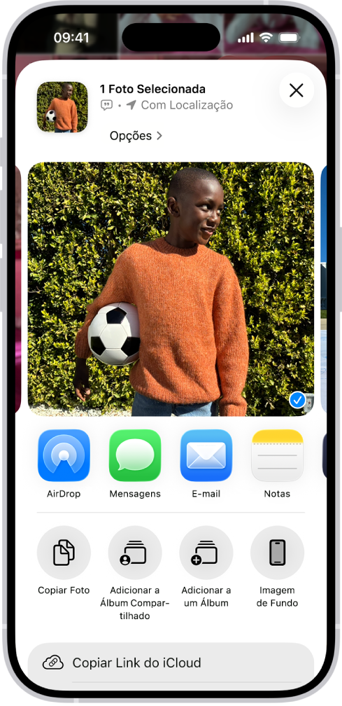 Uma foto aparece na metade superior da tela do iPhone, com uma fileira de opções de compartilhamento abaixo. Opções adicionais aparecem abaixo, incluindo Copiar Foto, Adicionar a um Álbum Compartilhado, Adicionar a um Álbum e Usar como Imagem de Fundo.