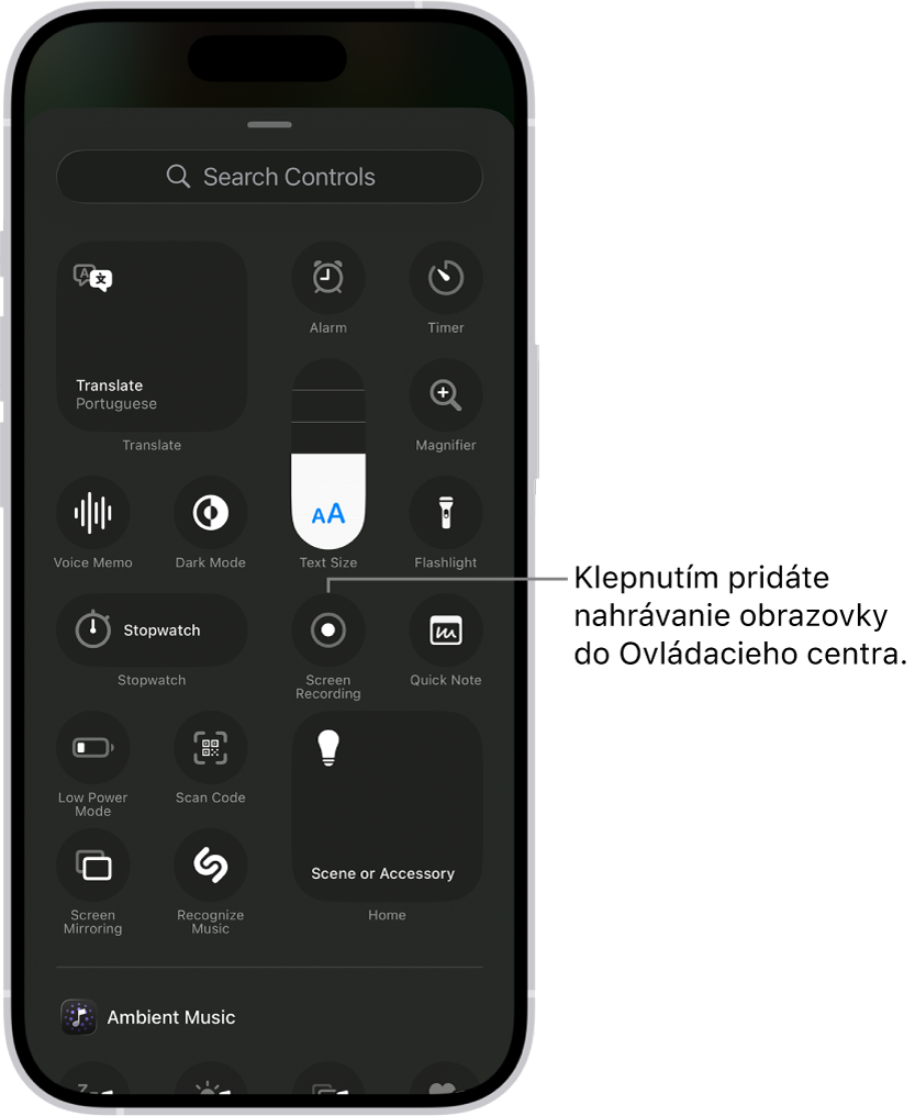 Obrazovka s ovládacími prvkami, ktoré môžete pridať do Ovládacieho centra. Ovládací prvok Záznam obrazovky sa nachádza približne v strede.