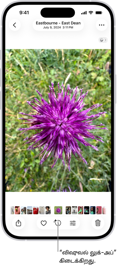 ஃபோட்டோஸ் செயலியில் ஒரு புகைப்படம் திறந்துள்ளது. திரையின் அடிப்பகுதியில் உள்ள விவரங்கள் பட்டன், “விஷுவலாகக் கண்டுபிடி” அம்சத்தில் இருந்து தகவல் கிடைப்பதைக் குறிக்கும் ஐகானைக் காட்டுகிறது.