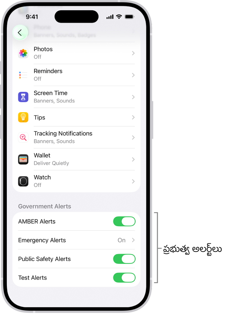 మీరు ప్రభుత్వ అలర్ట్‌లను స్వీకరించడానికి ఆన్ చేయగల ప్రభుత్వ అలర్ట్‌లను చూపుతున్న నోటిఫికేషన్‌ల స్క్రీన్.