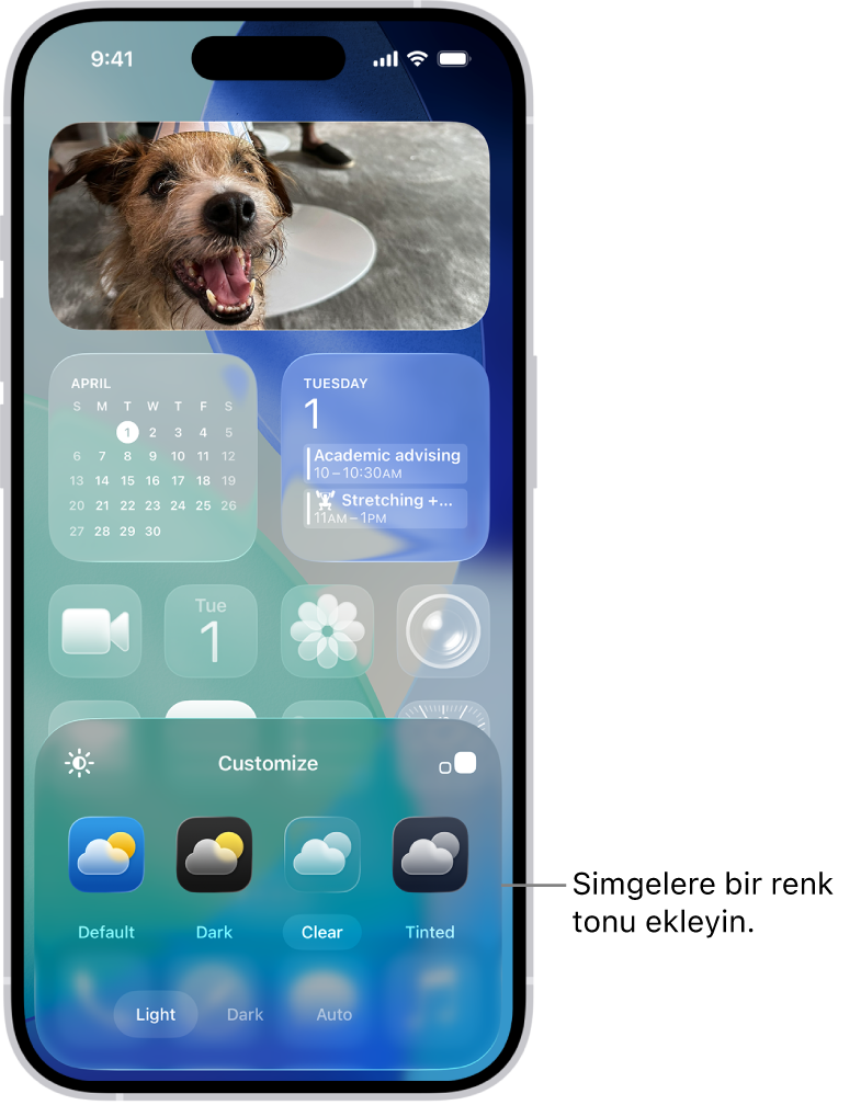 Mavi tonunda ve fotoğrafı çerçeveleyecek şekilde düzenlenmiş şeffaf simgeler ve ekranın en altında simgeleri özelleştirme denetimleri ile özelleştirilmiş bir ana ekran. Seçenekler arasında Otomatik, Koyu, Açık ve Hafif Renkli düğmeleri, rengi ve renk doygunluğunu seçme seçenekleri ve simge boyutunu ayarlamaya yönelik Küçük ve Büyük düğmeleri sayılabilir.