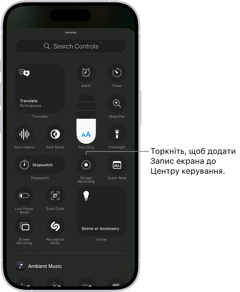 Екран, на якому показано елементи керування, які можна додати до Центру керування. Елемент керування «Запис екрана» розташований поблизу центра.
