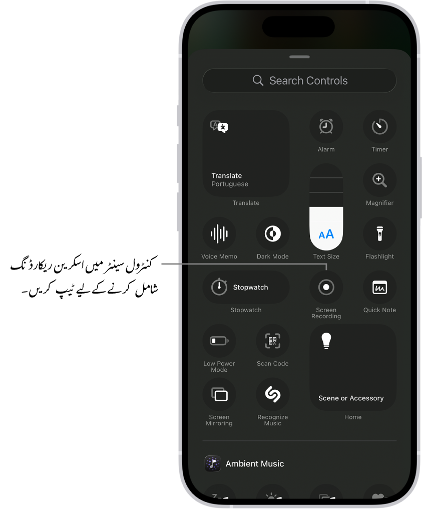 اسکرین جس میں کنٹرول سینٹر میں شامل کیے جا سکنے والے کنٹرول دکھائے جا رہے ہیں۔ اسکرین ریکارڈنگ کنٹرول وسط میں ہے۔