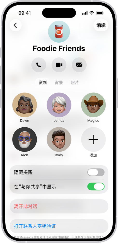 群组的对话详细信息。