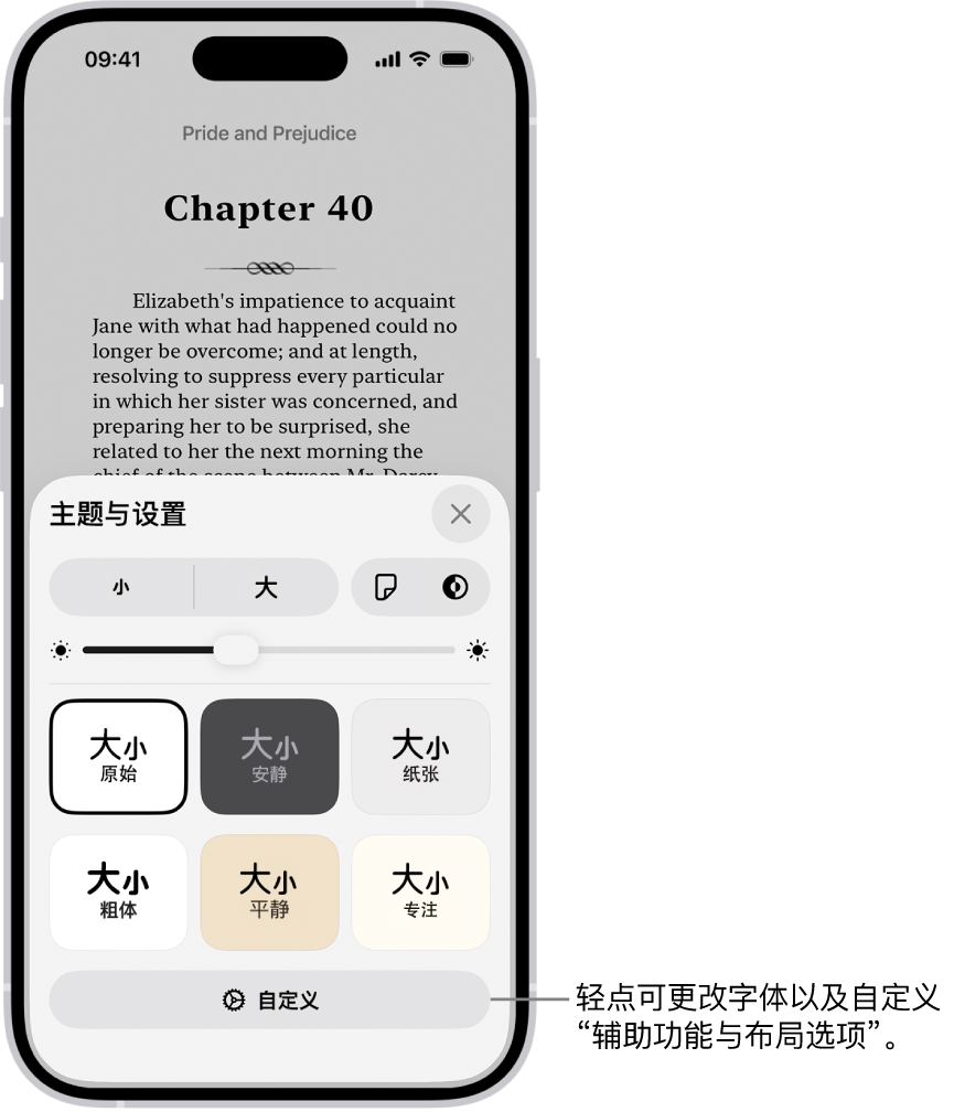 “图书” App 中的图书页面。“主题与设置”选项显示字体大小、滚动视图、翻页样式、亮度和字体样式的控制。