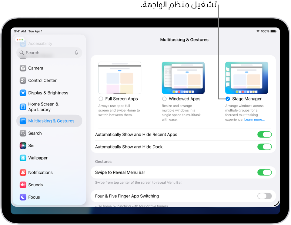 تطبيق إعدادات iPad، مع عرض خيارات تعدد المهام والإيماءات التي يمكنك اختيارها للعمل في تطبيقات متعددة.