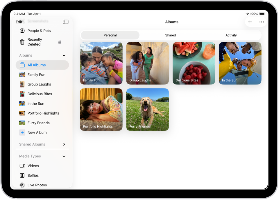 تطبيق الصور مفتوح في الألبومات. تم اختيار شخصي. يعرض الجزء المتبقي من شاشة iPad صورًا مصغرة من الألبوم في مربعات.