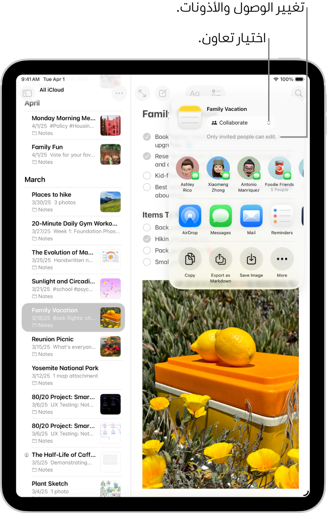 دعوة تعاون لقائمة اختيار في الملاحظات، تعرض التعاون لخيار المشاركة والخيار "الأشخاص الذين تدعوهم فقط هم الذين يمكنهم التعديل" كإعداد للوصول والأذونات. يوجد أربعة مستلمين محتملين، بما في ذلك مجموعة، يشكلون صفًا أسفل ذلك. يوفر الصف التالي طرقًا مختلفة لمشاركة الملاحظة: AirDrop والرسائل والبريد والتذكيرات. يحتوي الصف الأخير على أزرار لنسخ الملاحظة وتصديرها وحفظها.
